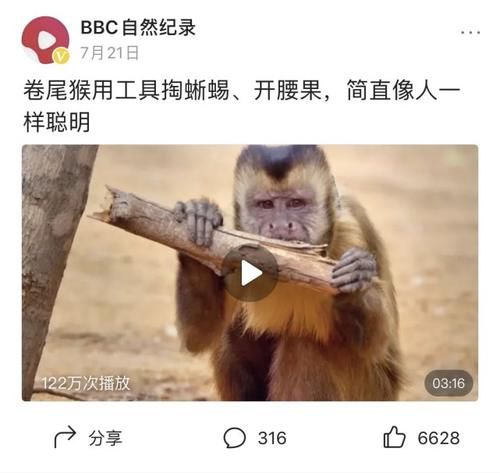  佳作|豆瓣预定超9分的佳作：原来我们错过许多惊喜，真遗憾没早点看到