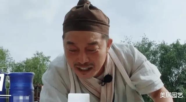 流量|一人就顶沙溢加郭麒麟,承担收视率却黯然退场,无流量明星的悲哀