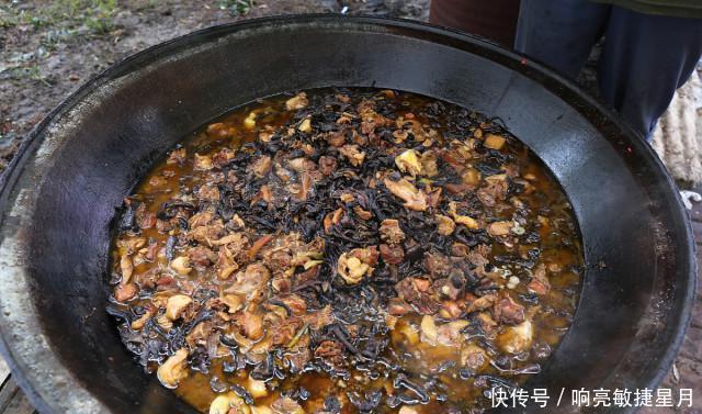 东北菜|一堆东北菜，哪个你最爱