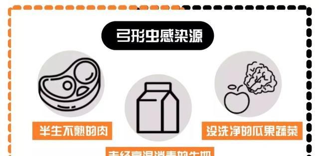 居然|铲屎官怀孕后，狗狗居然是这样的反应......