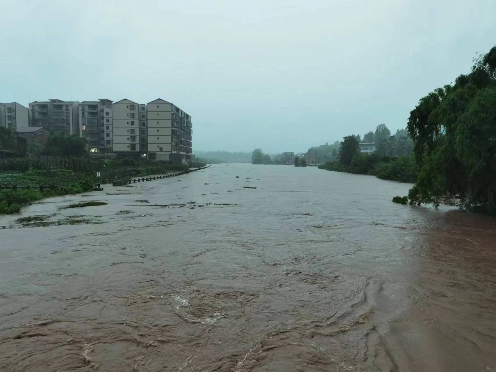 强降雨致南充螺溪河水位上涨，沿河农田民房被淹 已安全转移4000余人