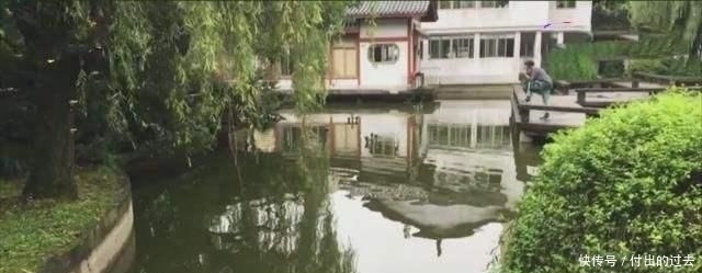  行踪|女子穿吊带睡衣人间蒸发，所有监控不见行踪，抽干湖水寻人仍未果