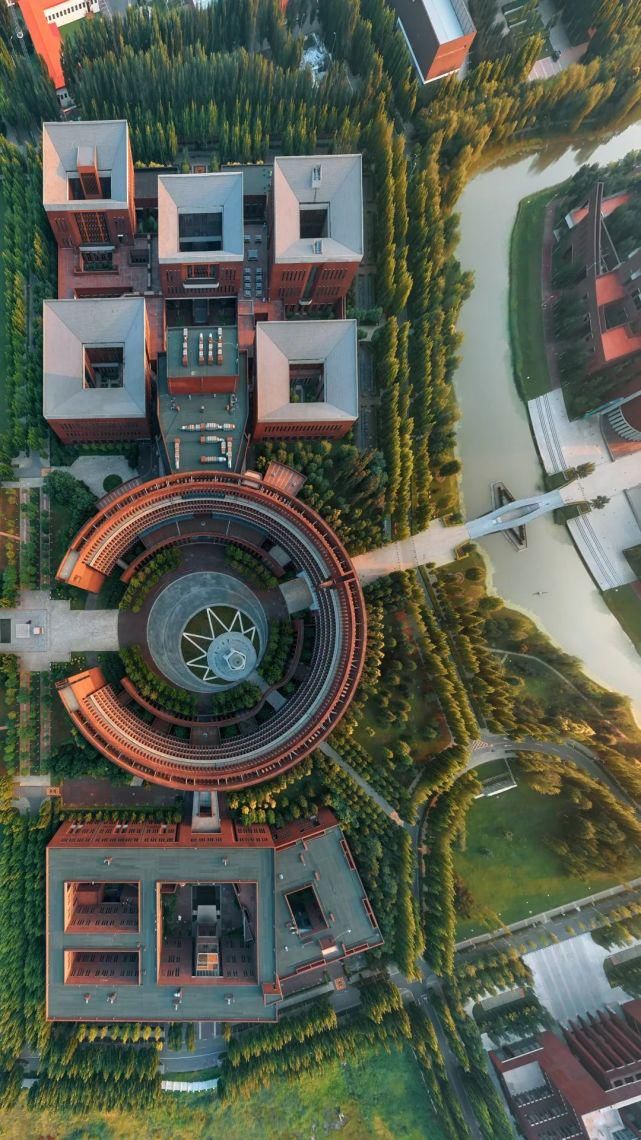 北洋园|啊,我的天大啊!