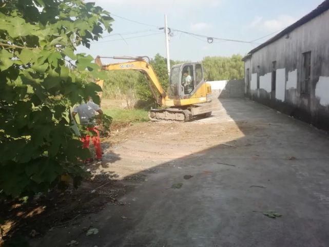 现象|文明创建曝光台丨今天曝光这些不文明现象！