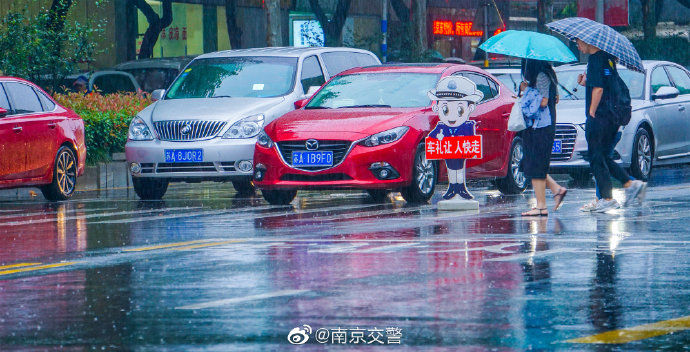 机动车|南京机动车礼让率不断提升 已达94.4%