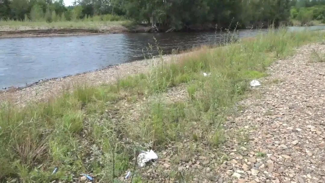 清清|清清河水悠悠，游人走垃圾留