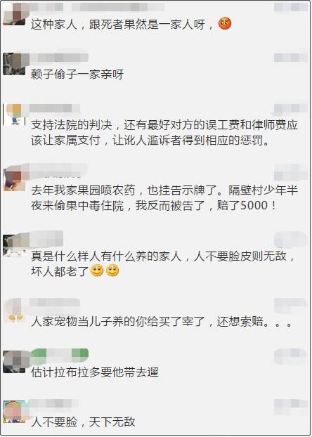调解|偷狗的把狗主人告了，“他是因为你家狗死的”