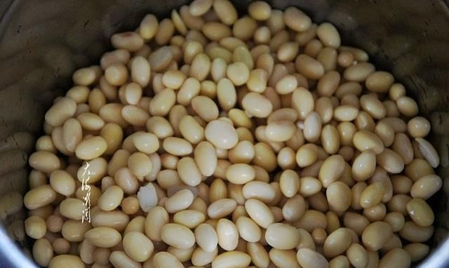 原产地|它是日本人长寿的小秘诀，原产地其实是中国，很多人还不知道