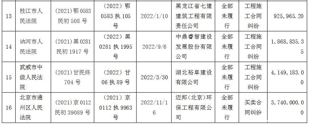 启迪环境科技发展股份有限公司被列为失信被执行人