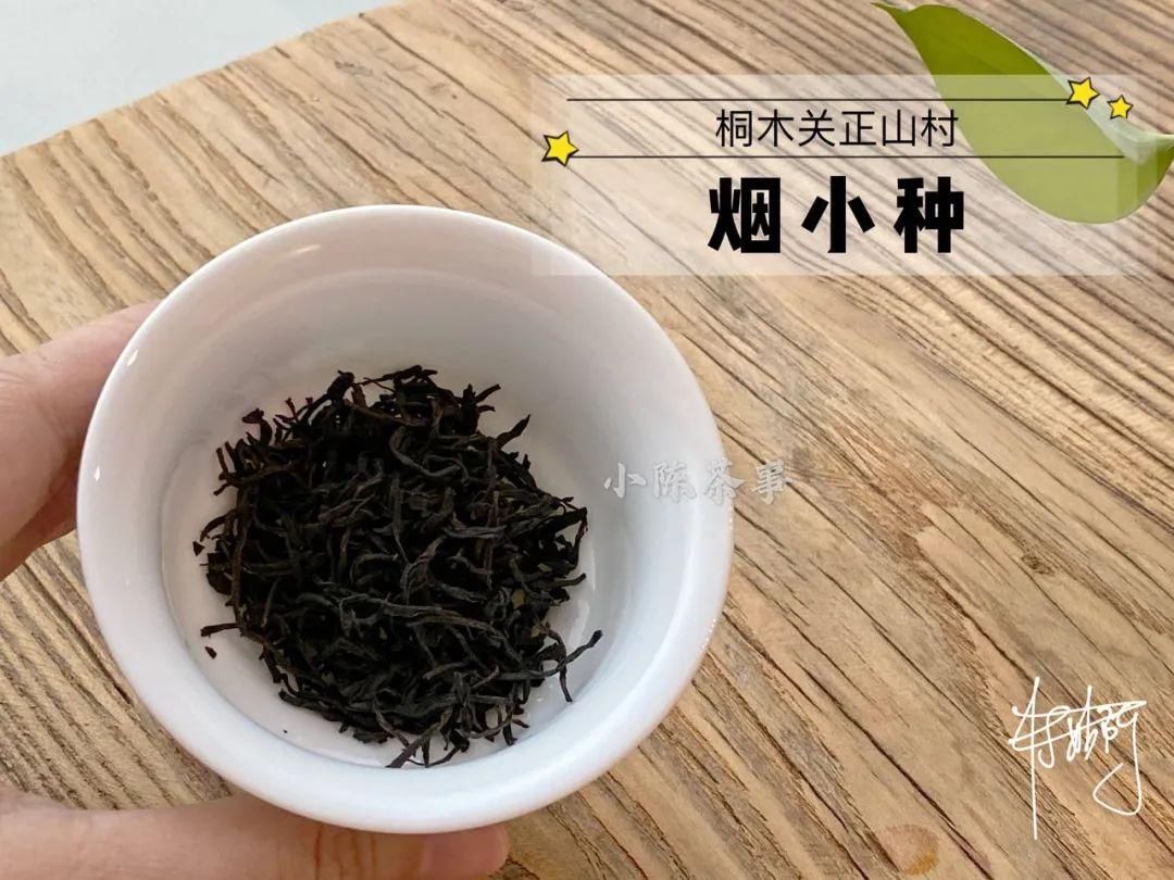 传统|从老丛红茶、烟小种到花香小种，这款红茶代表了传统小种的定义