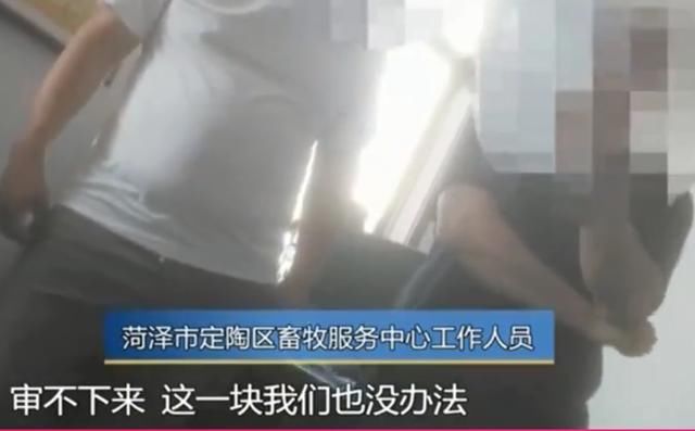  项目|男子投资2000万建养猪场，到最后一道手续遭拒，负责人：只要动工我就查你