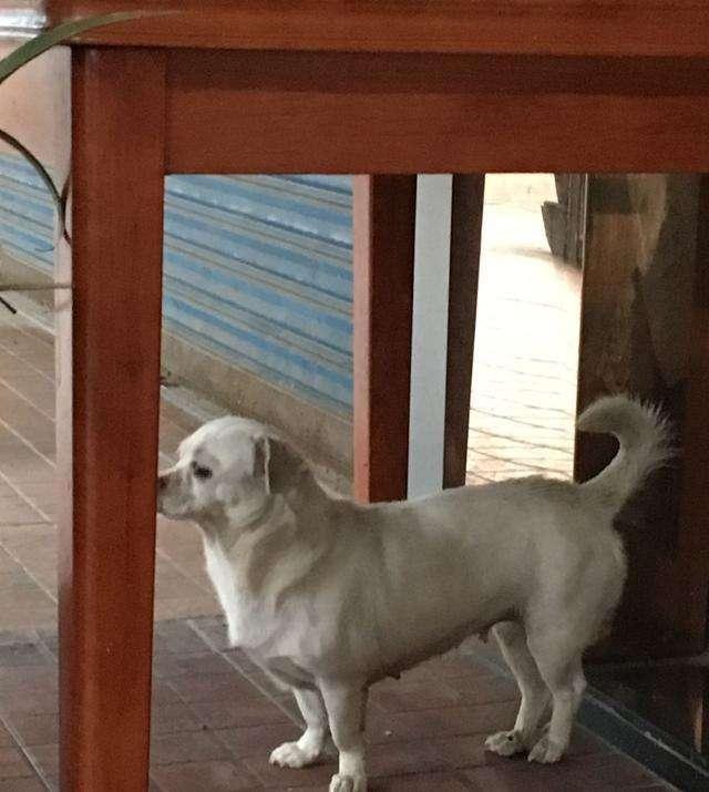 潜藏|人生有四喜,为何宅子也有“四喜”?经验背后几分智慧潜藏?