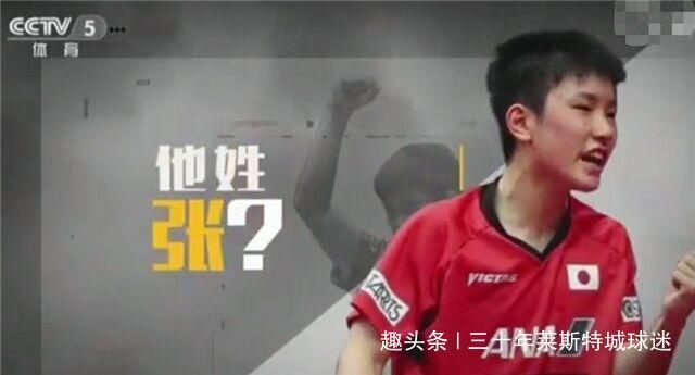 再次|张本智和再次表态为日本夺金!父亲工作公布 也为日本国家队服务