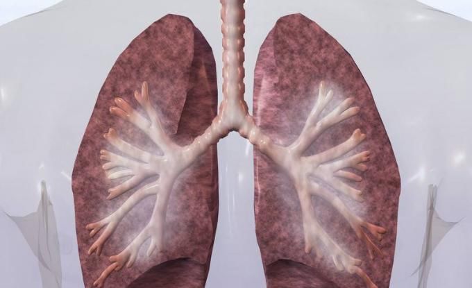  长期|鹌鹑蛋的不同吃法，让食补大于药补，长期吃有利无害