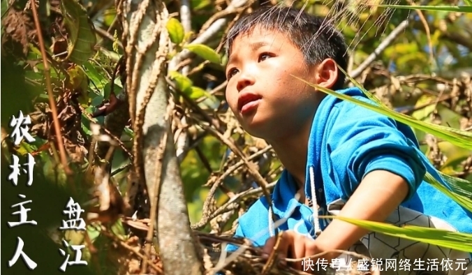 越走越远|12年时间,《变形记》越走越远,农村孩子城市孩子的结局全然不同