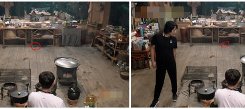  环境|蘑菇屋真实环境遭质疑？厨房有老鼠“凭空”出现，后期来不及打码