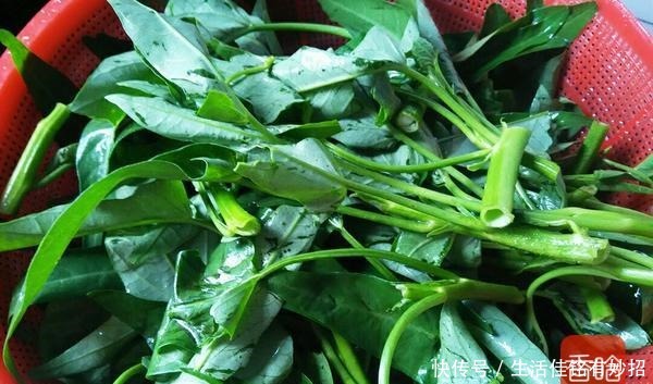 能手|这菜堪称是“补钾小能手”!清热祛湿营养高,秋季遇见要常吃