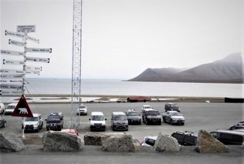 北极|男子北极露营半夜被北极熊撕咬而死,政府提醒游客随身携带枪支