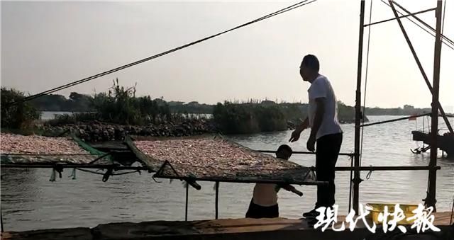 父子|父子二人太湖里下“飞机网”，非法捕捞160斤鱼