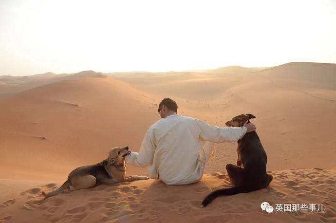  沙漠|霓虹妹子嫁到阿联酋，在5万平米的沙漠＂后院＂里养猫养骆驼?!