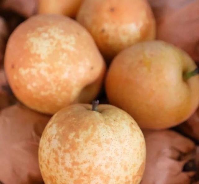 主厨|肉质与梨汁的完美融合，帅哥主厨手把手教您独家手艺！