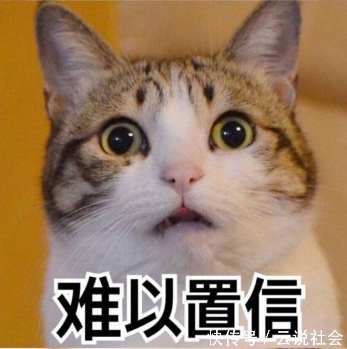 理科|别让理科男养猫,你永远不知道他会拿你的猫去计算些什么东西