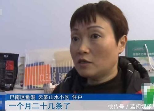 发现|一个月内小区里死了20多条狗,业主在草坪上发现了罪魁祸首