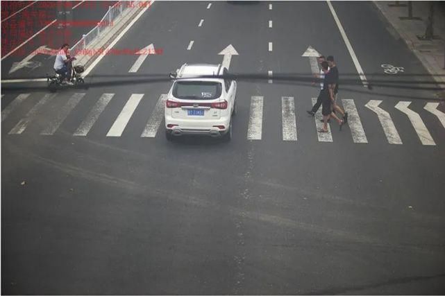 逆向行驶|文明城市靠大家，这些行为不能有！