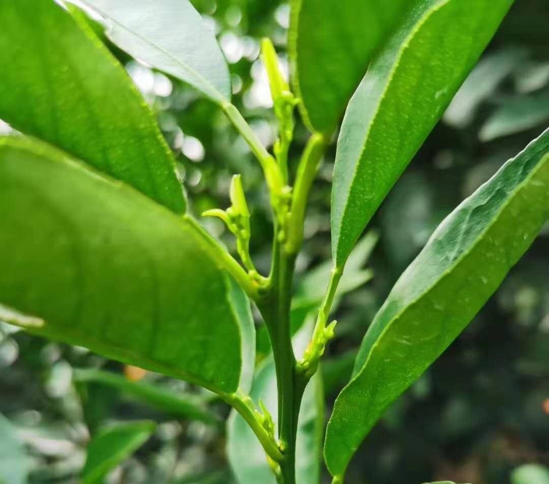 教会|“别对亲人太好”,俺爸的教训,教会了俺什么是亲情