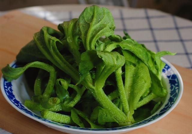  学会|这种叫做冰草的蔬菜你见过吗？不用放盐，这样做简单又美味，1分钟就能学会
