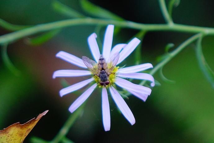 熟悉|初识寡言少语，熟悉了之后像话痨般的星座，还真是两副面孔呢
