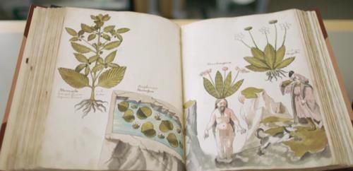  魔法|哈利波特40岁了，我才走进现实中的魔法世界