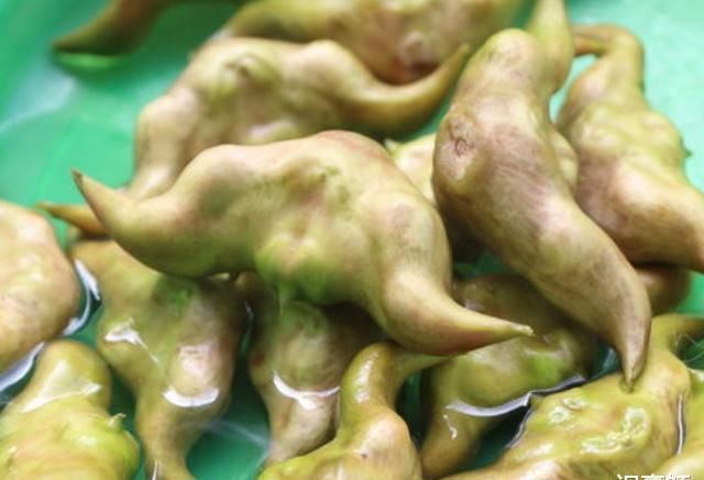  外国|池塘里长的这东西在外国是祸害, 国内却是宝, 不仅补钙而且还美容