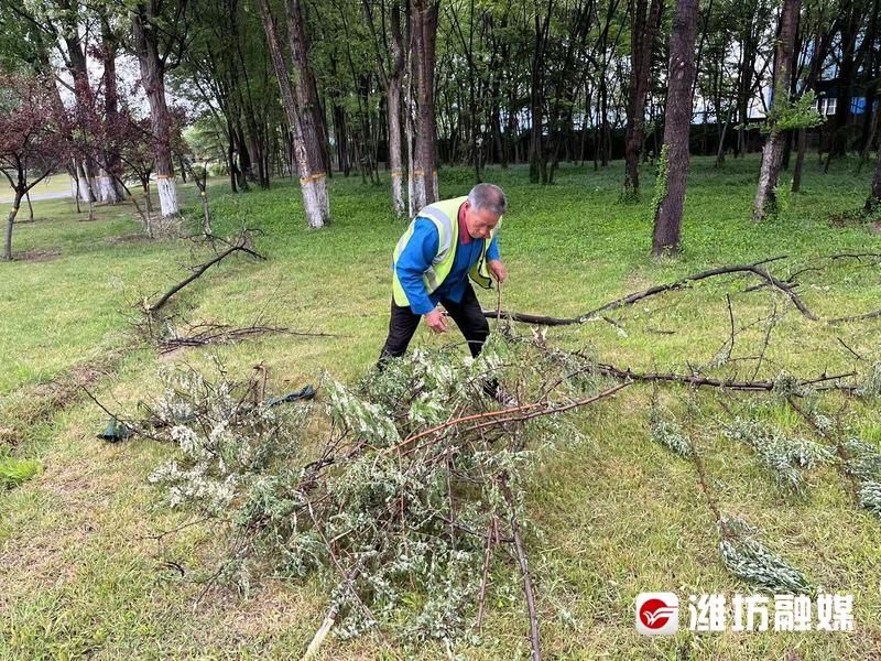 冒雨清理落叶断枝 为景区环境消除隐患