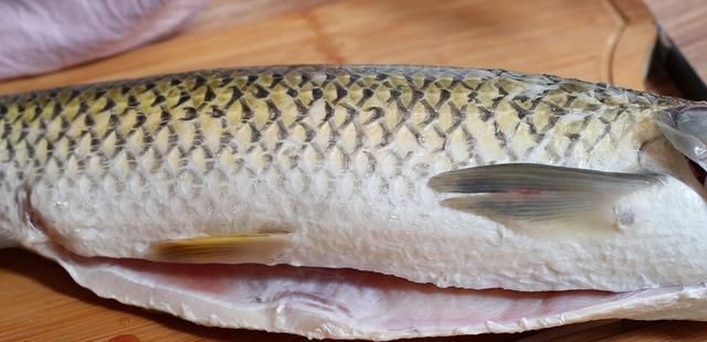 口感|教你在家做鱼丸,真材实料无添加,口感嫩滑Q弹,再也不用买着吃