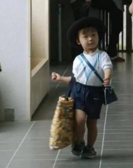  真相|日本火了29年的节目揭露教育真相：想让孩子独立，父母先学会绝情