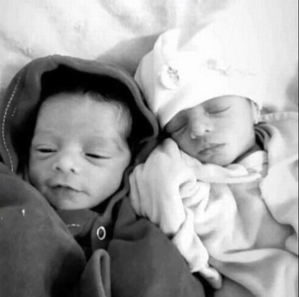  热火朝天|女子跟邻居聊的热火朝天，家里养的狗产生嫉妒心理，将新生的双胞胎咬死