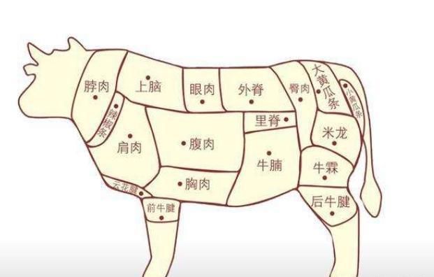 牛眼肉|买牛肉,一定要知道牛肉选购技巧,老板一听就知道是内行人