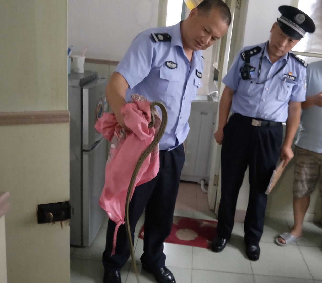  卧室|“小青”偷偷溜进卧室把女主人吓的躲在床上拼命报警！民警及时赶到徒手擒获河边放生