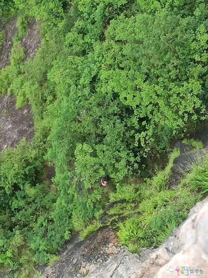  未归|女游客进温州景区未归，悬崖下找到尸体