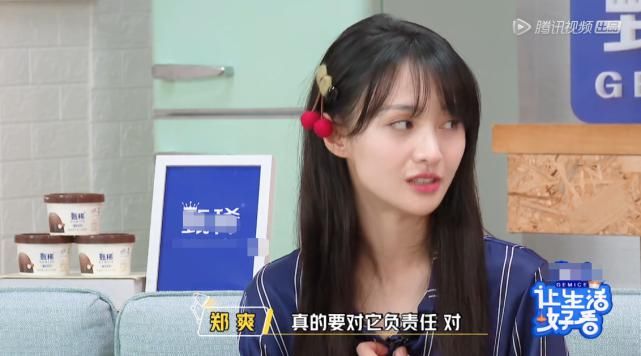  动物|郑爽关爱流浪动物，却将自家宠物送寄养中心，柳岩挽救了她的人设