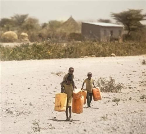 地上|非洲人连饭都吃不上，为何还不愿种地？当地人：你看地上都长得啥