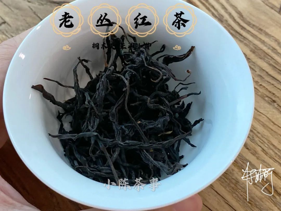 传统|从老丛红茶、烟小种到花香小种，这款红茶代表了传统小种的定义