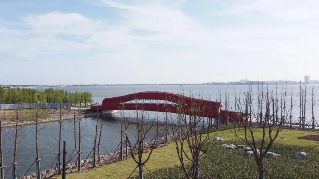 网红|【探索】滴水湖4座“网红”景观桥亮灯啦!快来先睹为快