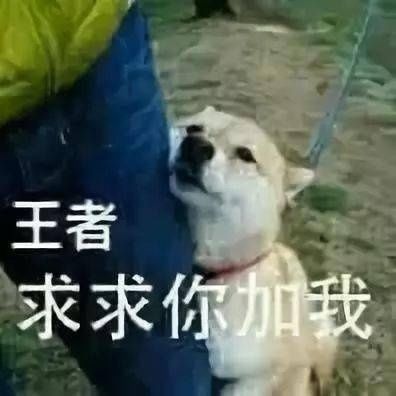 最全|王者荣耀系列表情包（全网最全合集）