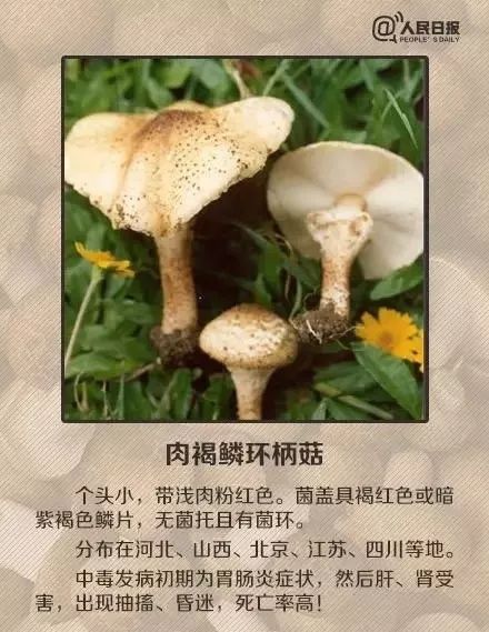 女子|吃了这个东西后,女子报警:家里进了4个贼