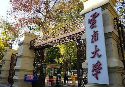  熊猫|中国顶级旅游路线有高铁了！看完熊猫再环洱海，一辆车就能解决