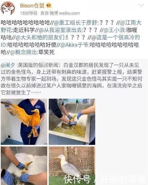  搞笑|海鸥：不就是给自己镀了个金么，大惊小怪什么？哈哈哈哈哈这也太搞笑了！