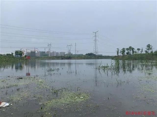莲湖|官莲湖钓友车胎被扎警方连夜破案,水产公司呼吁请勿垂钓