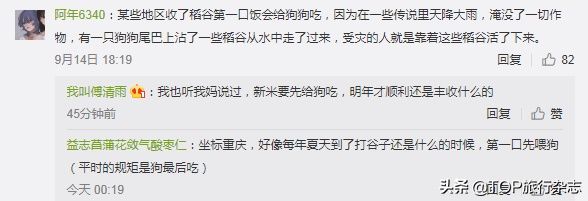 背着|背着狗讨百家饭！中国独有的关于“狗”的节日，一个天堂一个地狱